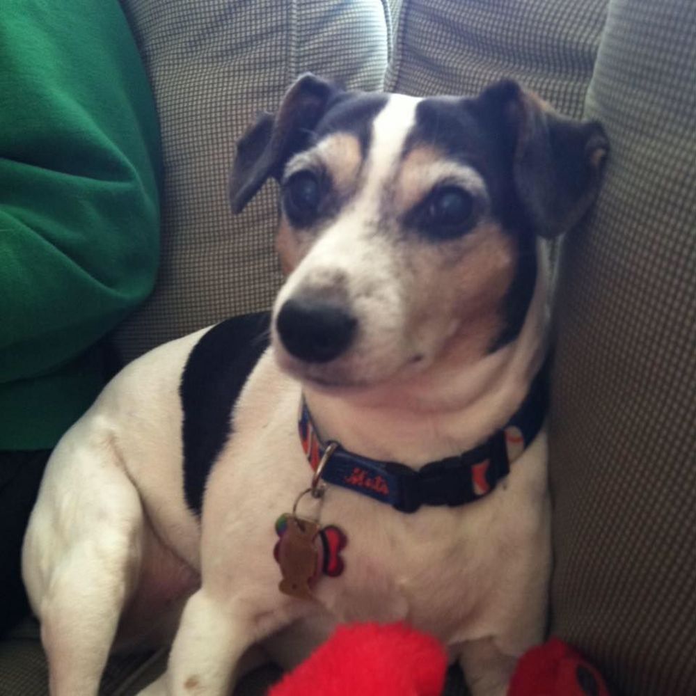 Meet your Posher, Deborah